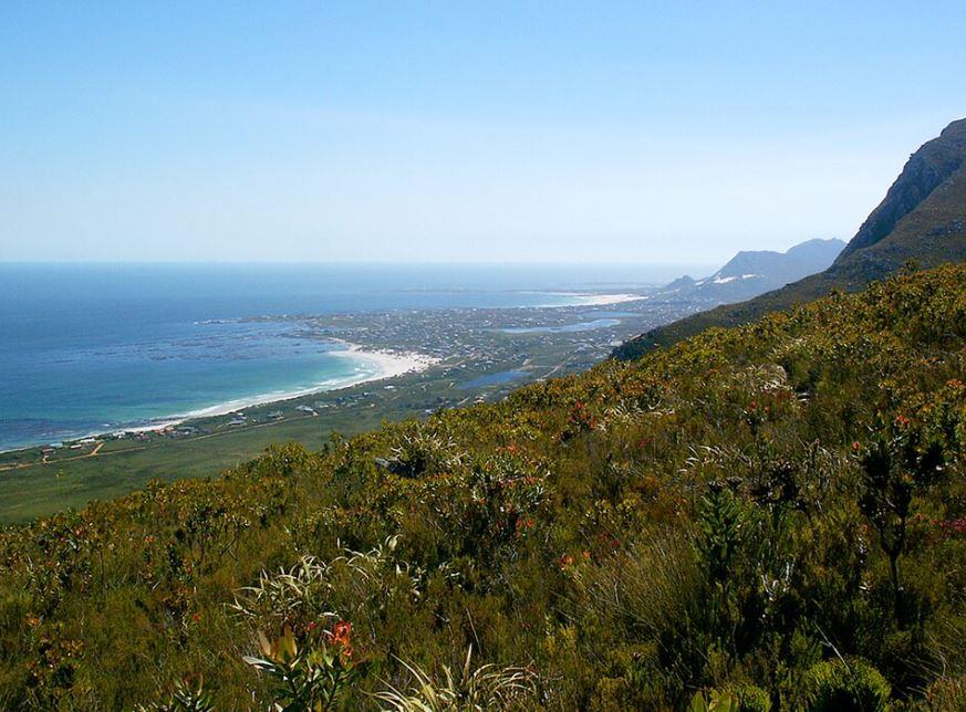 0 Bedroom Property for Sale in Bettys Bay Western Cape